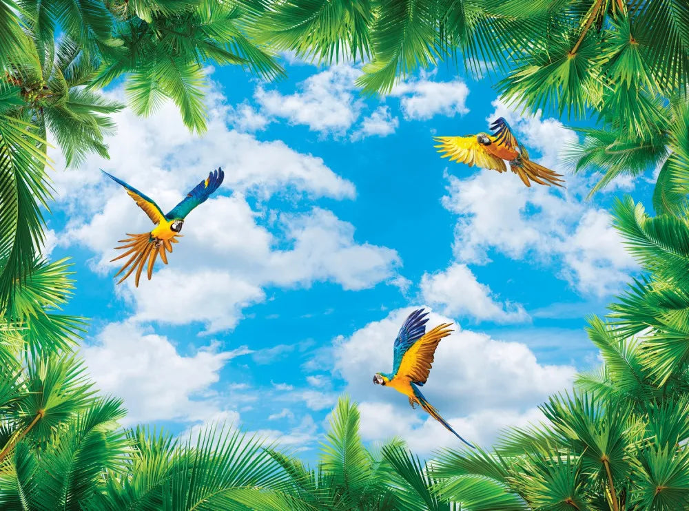 Beautiful Sky 3D