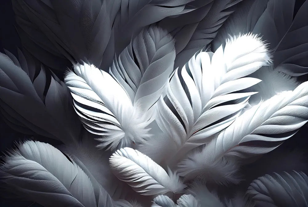 White feathers 3D