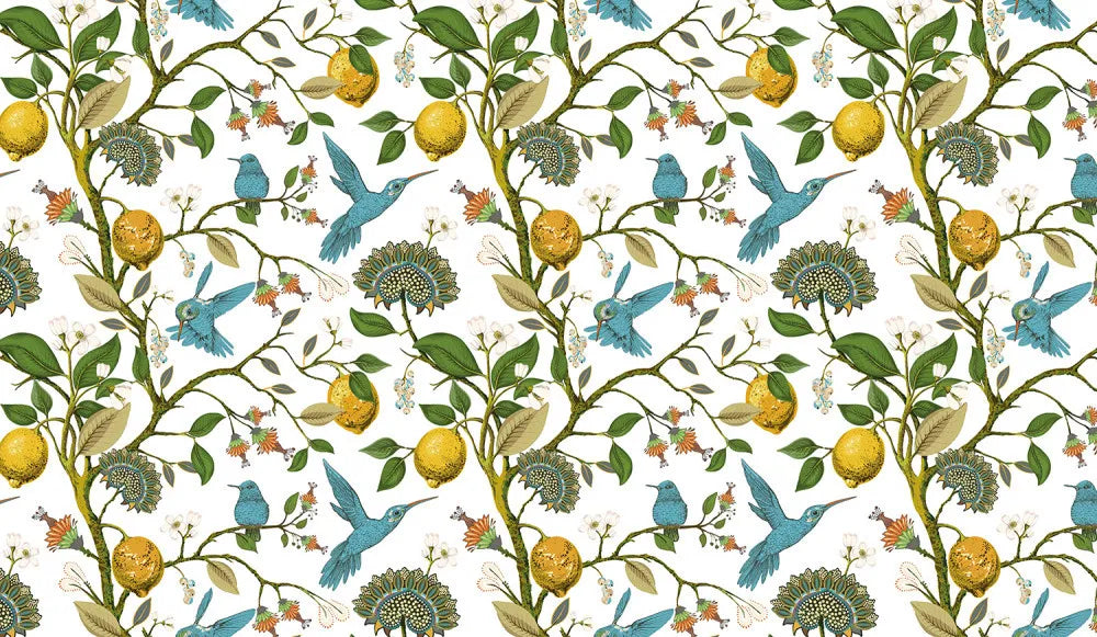 Birds in the lemon garden