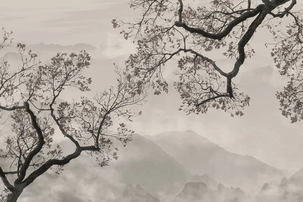 Trees in the misty mountains