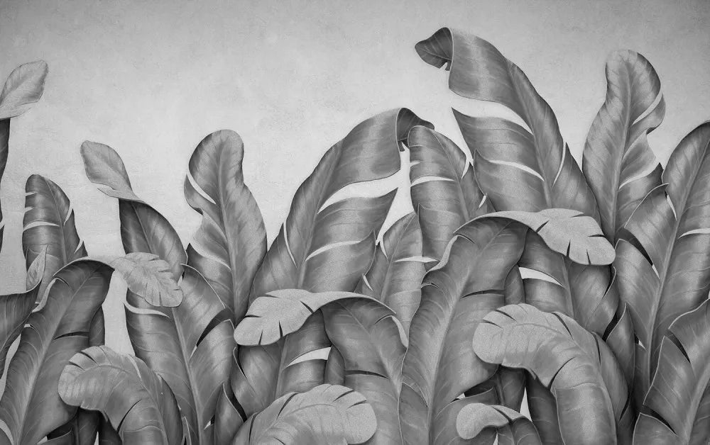 Beautiful banana leaves