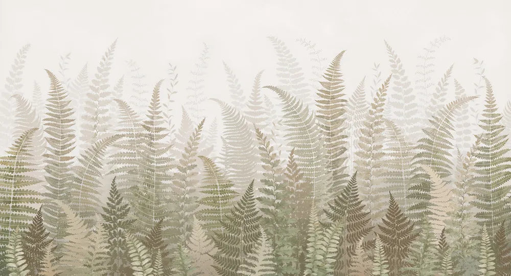 Morning fern