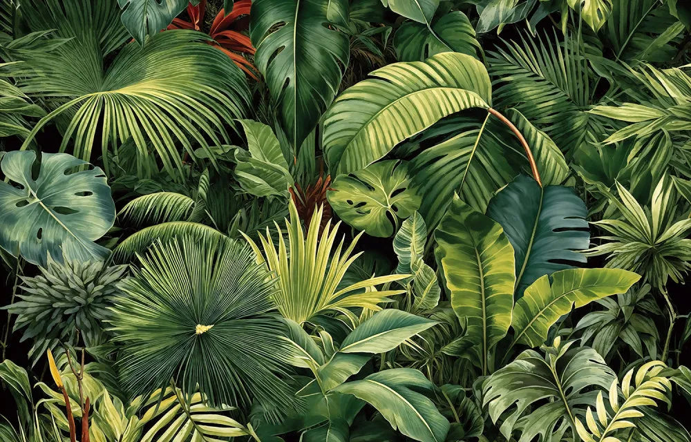 The colorful leaves of the tropics
