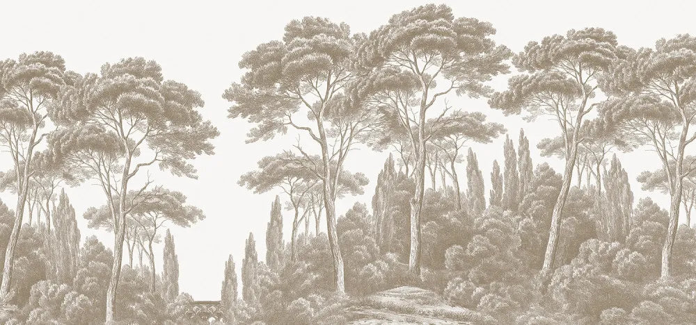 Majestic cypresses