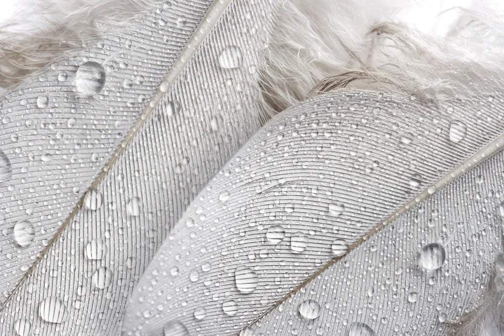 Drops