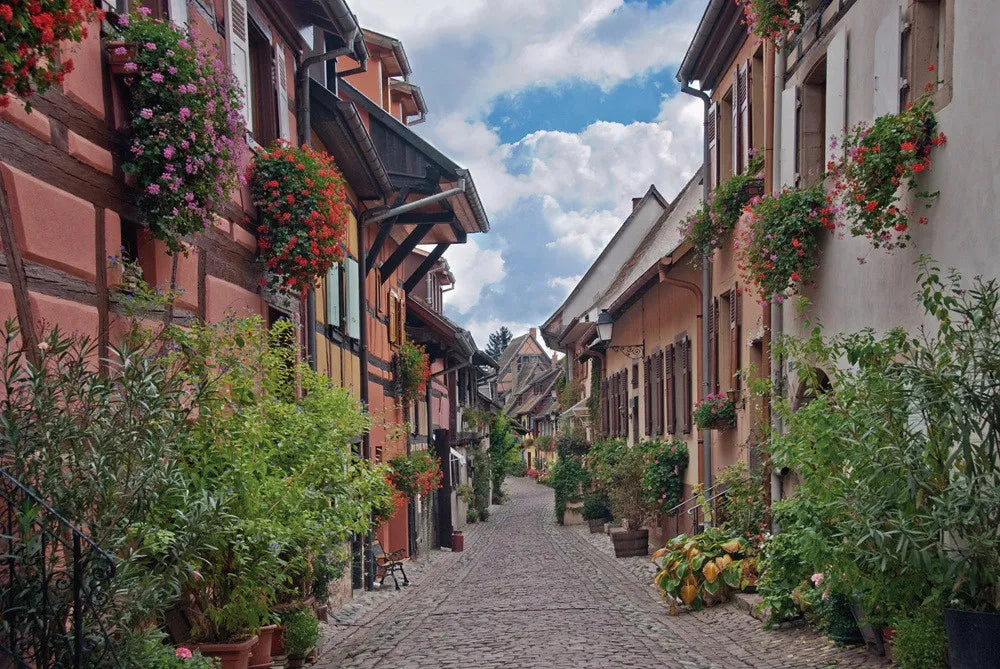 Street in France