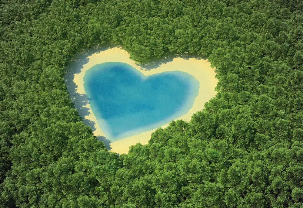 Lake in the woods