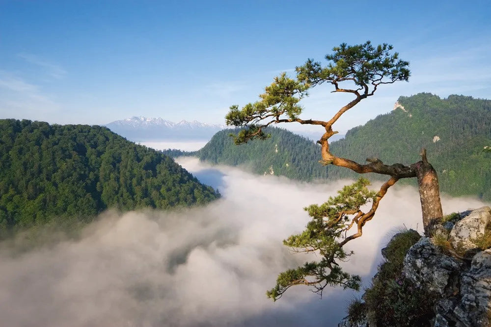 Valley