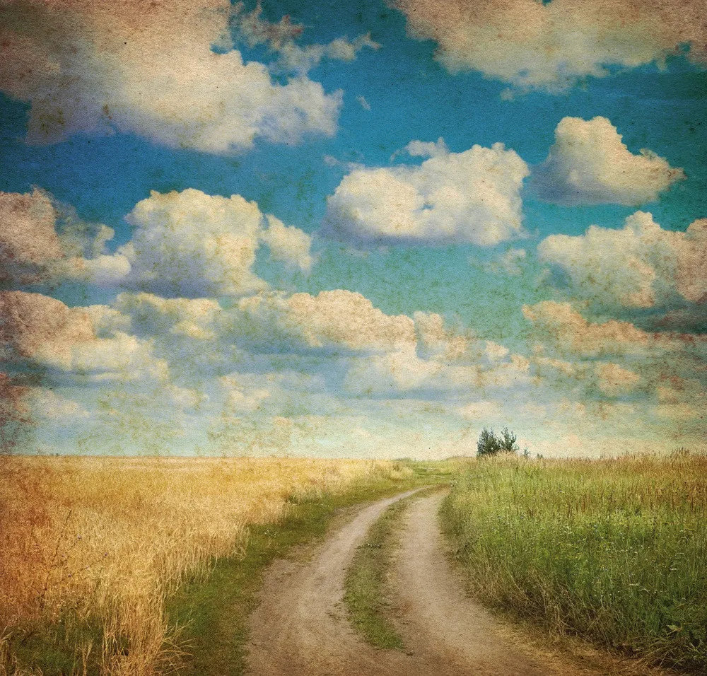 Field