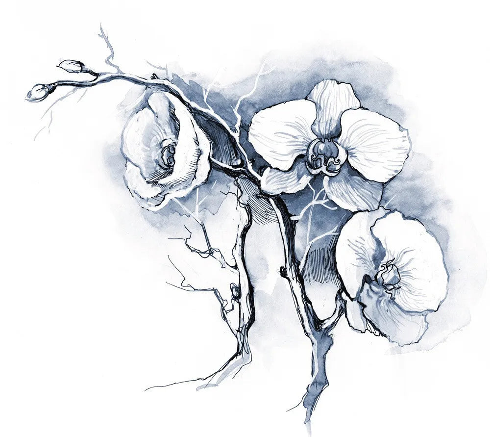 Orchid