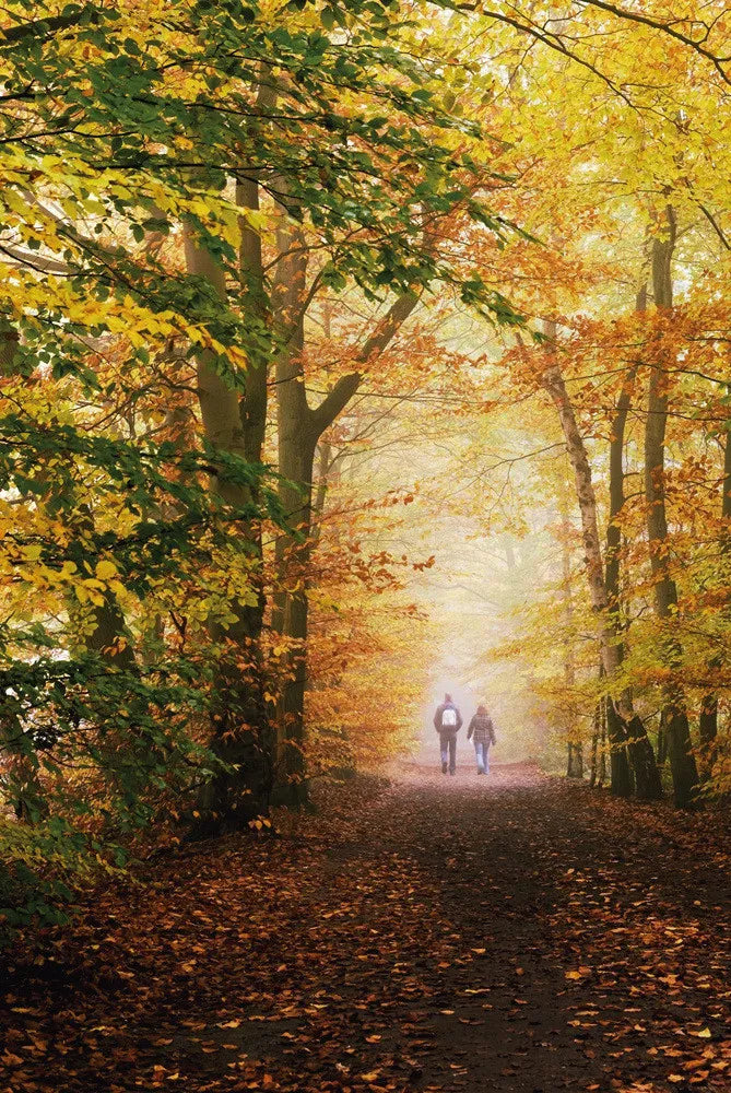 Autumn park