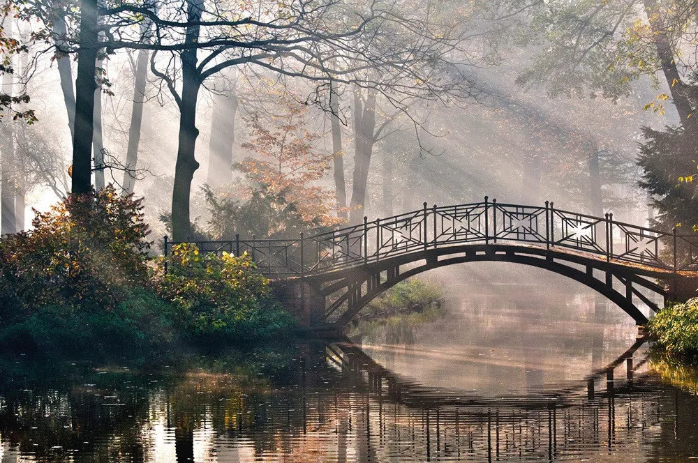 Bridge