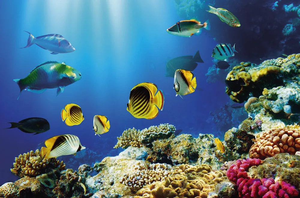 Underwater World