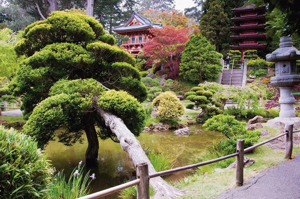 Japanese garden