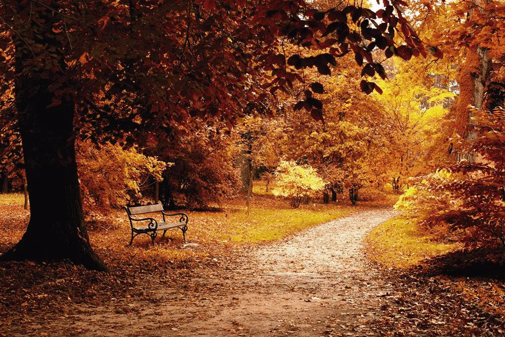 Autumn