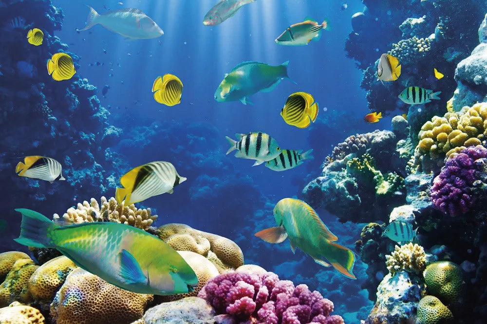 Underwater World