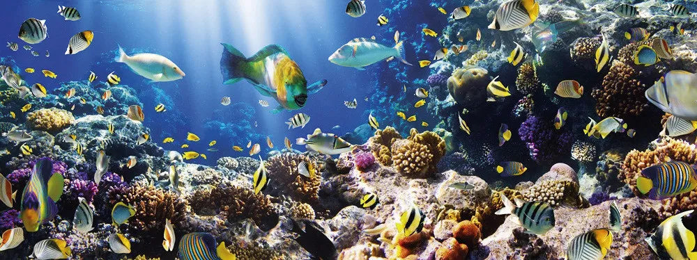 Underwater World