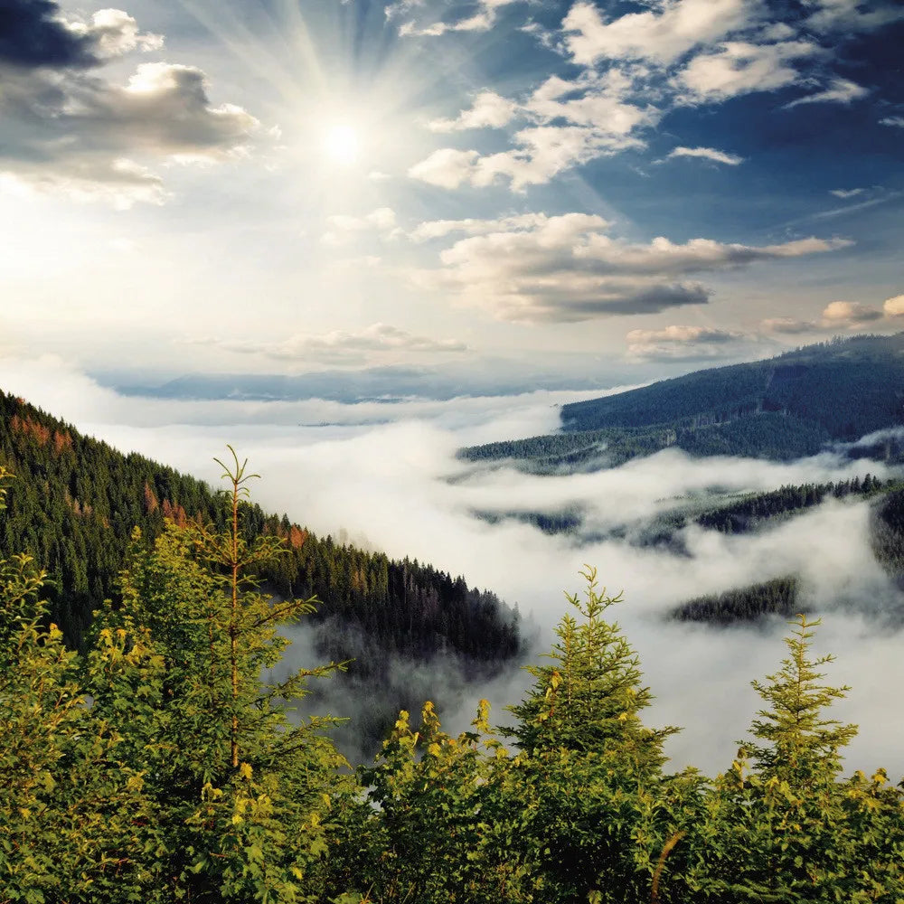 Mountains