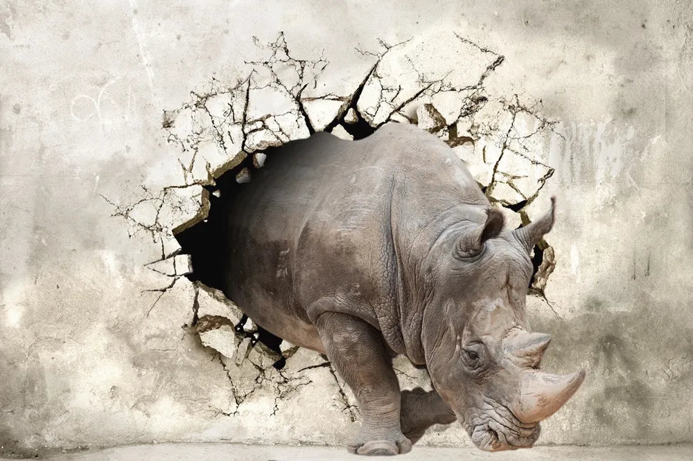 Rhino