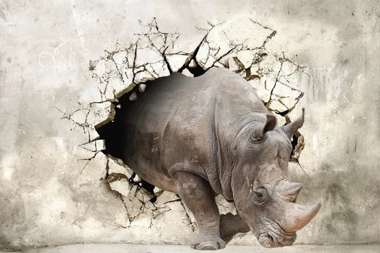 Rhino