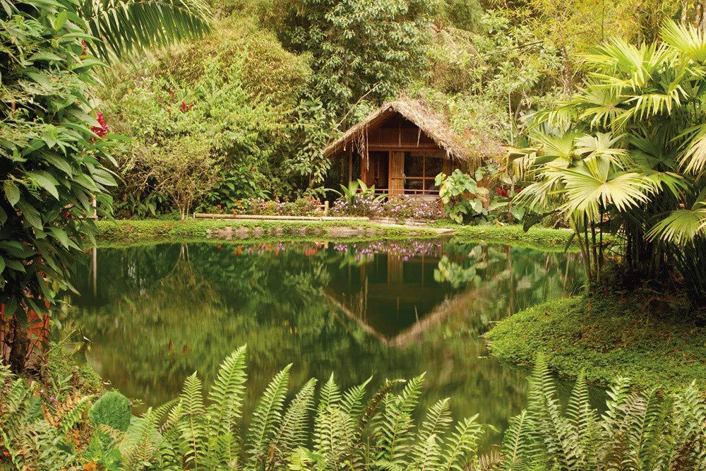 Cabin in the woods
