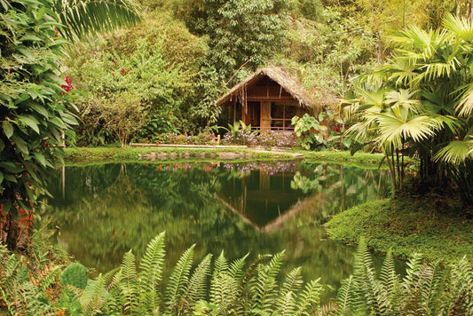 Cabin in the woods