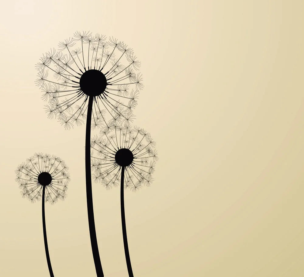 dandelion