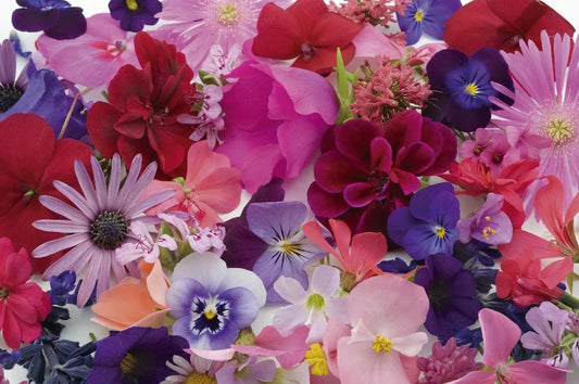 flowers