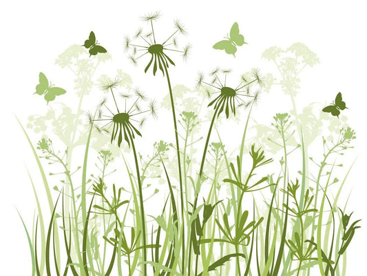 Dandelion in the grass