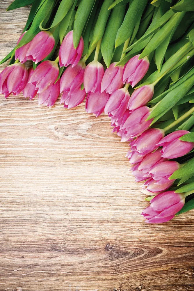 tulips