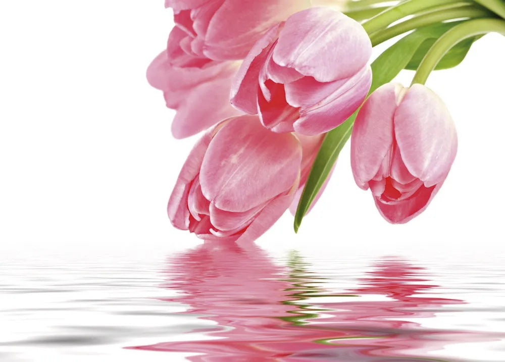 Tulips in the water