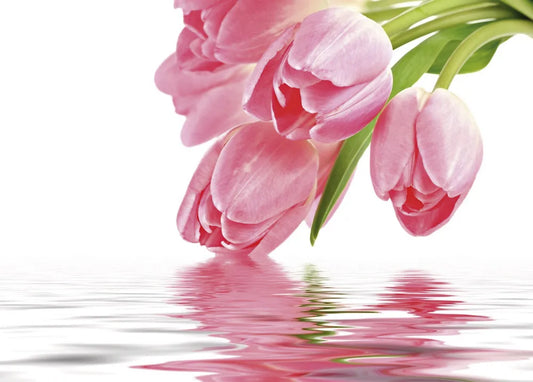 Tulips in the water