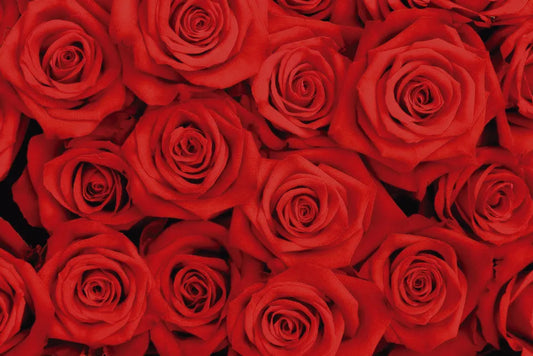 roses