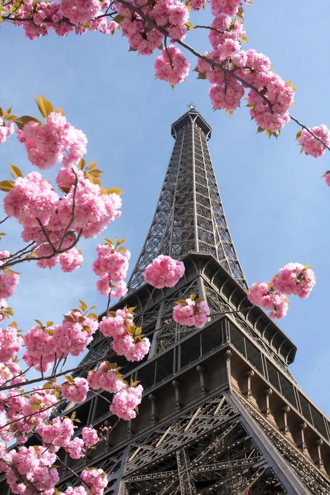 Eiffel tower, Paris
