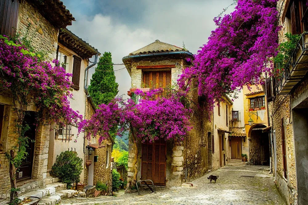 Street Provence, France