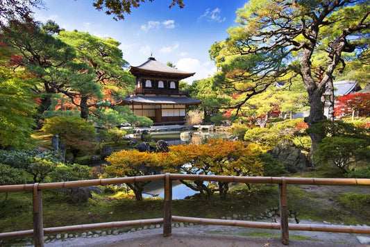 Garden in Kyoto, Japan