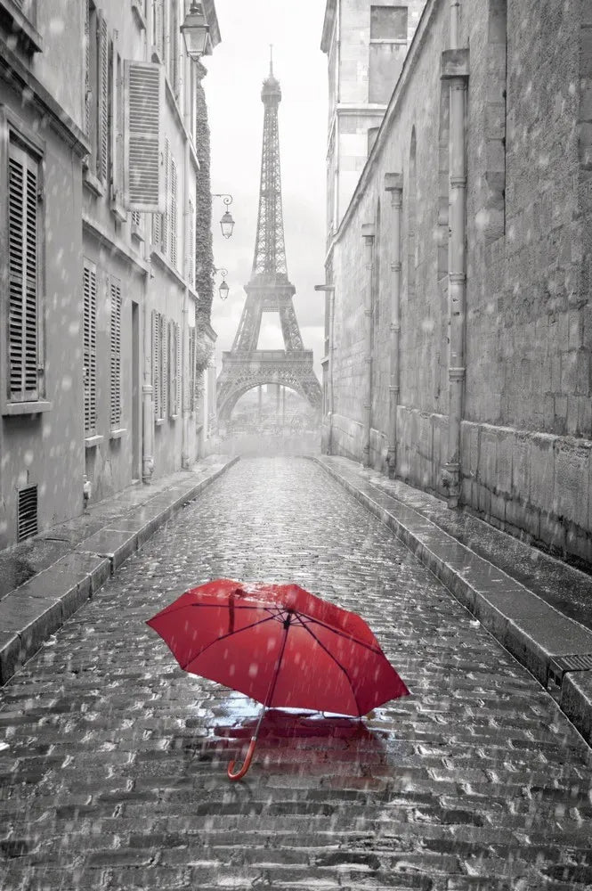 Street in Paris, France