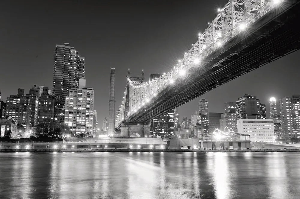 The Queensboro Bridge, New York