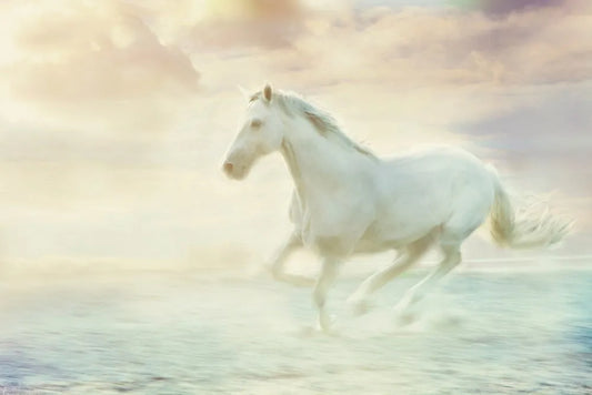 A horse at full gallop