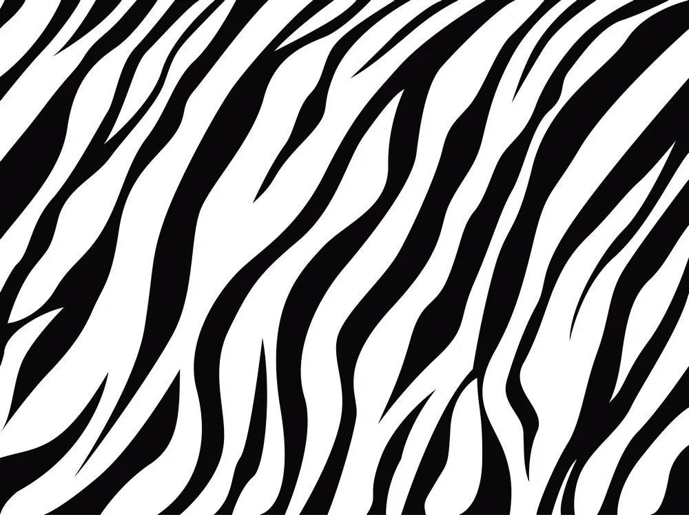 Zebra, texture