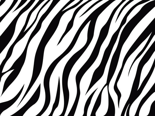 Zebra, texture