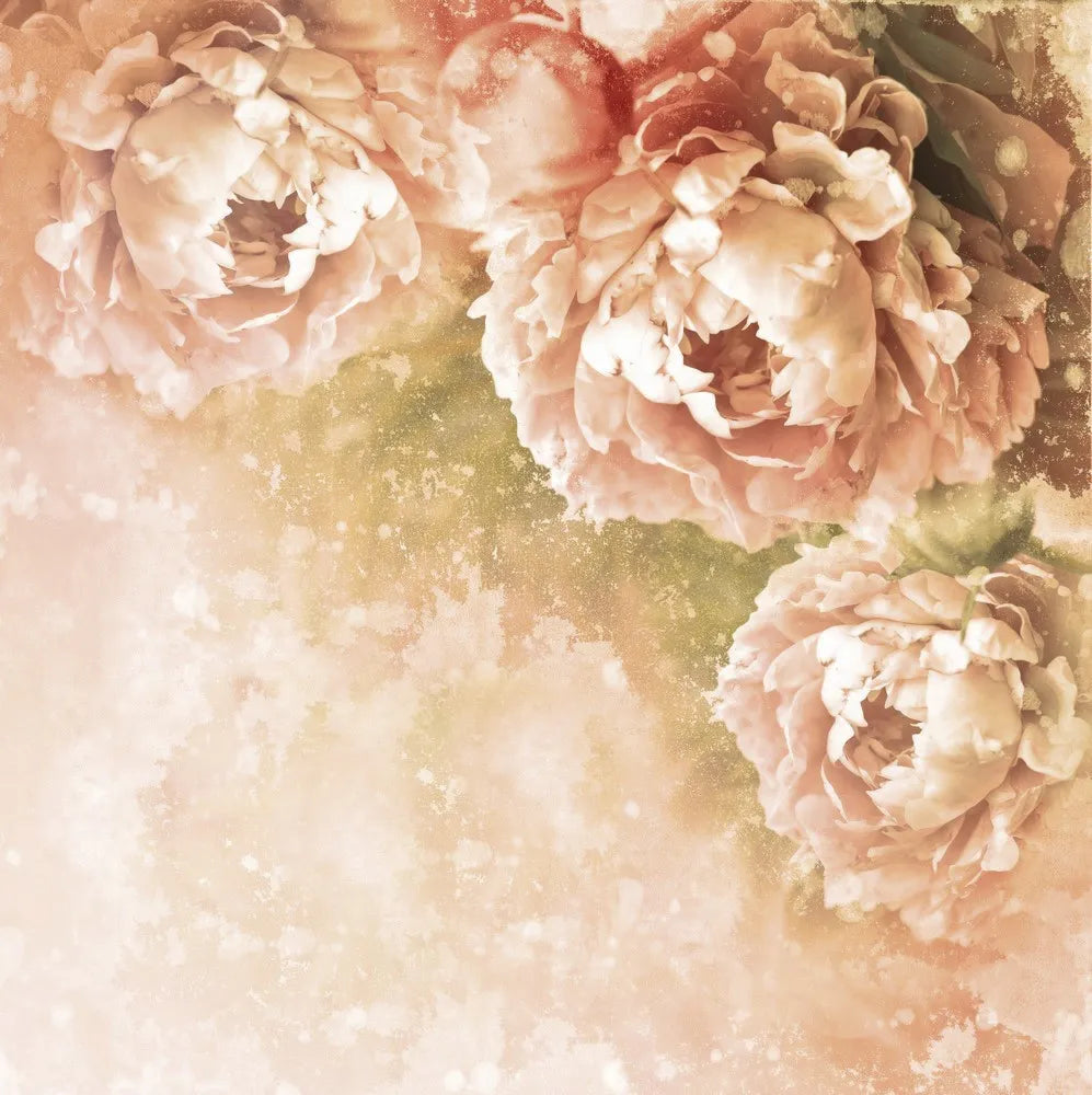 Peonies, figure
