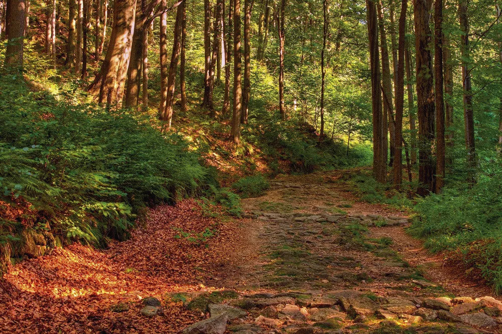 Stone road