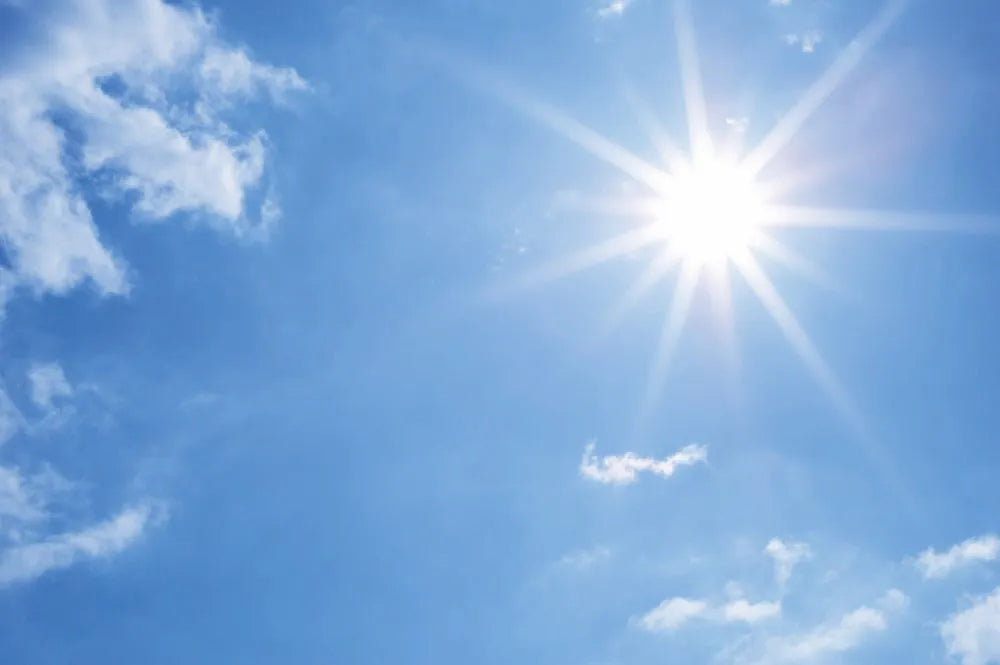 Sunny skies