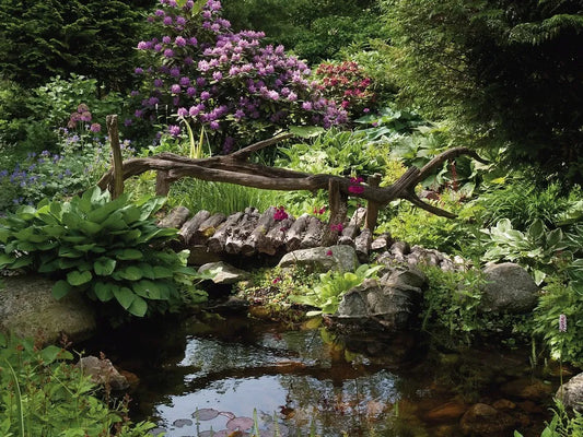 The bridge over the forest river