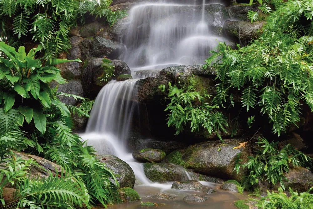 A waterfall in the tropics