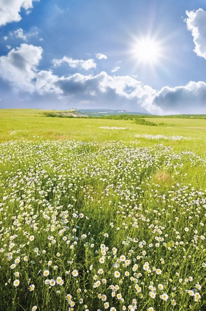Field, valley