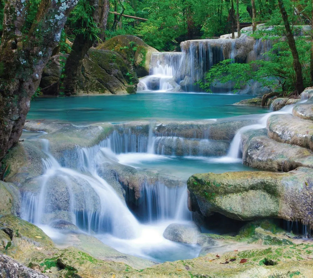 Mountain river in the forest
