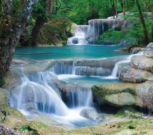 Mountain river in the forest