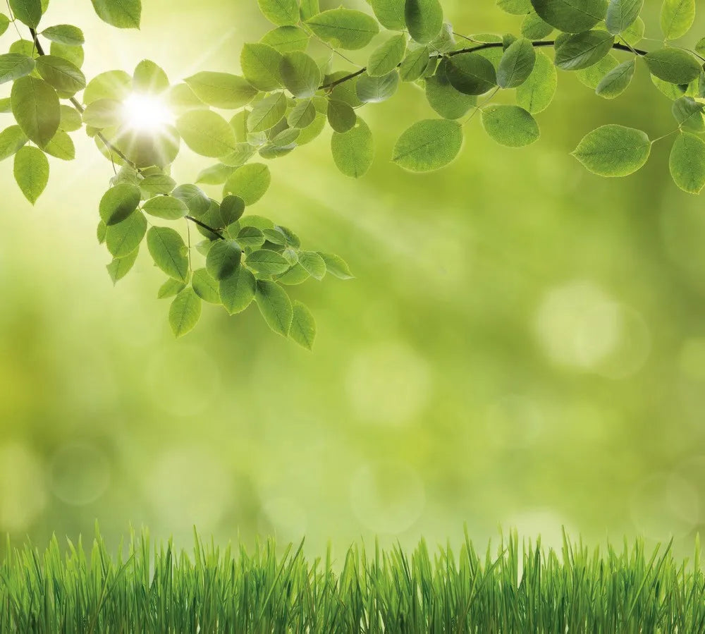 The leaves and grass